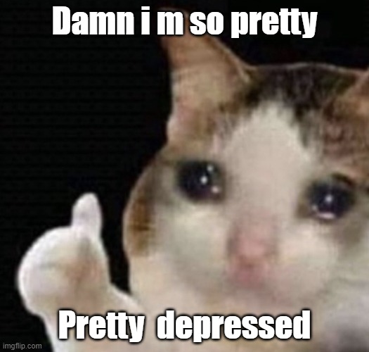 cat memes |  Damn i m so pretty; Pretty  depressed | image tagged in cat cry,cat,cats,funny cat memes,cat memes,cat meme | made w/ Imgflip meme maker