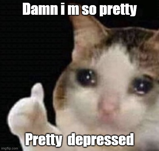 cat memes | Damn i m so pretty; Pretty  depressed | image tagged in cat cry,cat,cats,funny cat memes,cat memes,cat meme | made w/ Imgflip meme maker