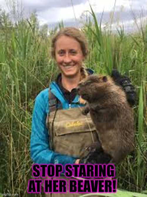 It's time to stop | STOP STARING AT HER BEAVER! | image tagged in its time to stop,staring,at her,beaver | made w/ Imgflip meme maker