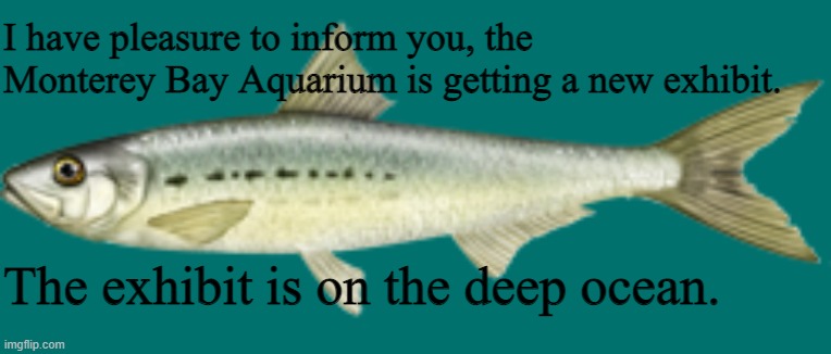 Larry the Pilchard | I have pleasure to inform you, the Monterey Bay Aquarium is getting a new exhibit. The exhibit is on the deep ocean. | image tagged in larry the pilchard | made w/ Imgflip meme maker