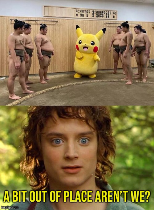 Hmm not sure about that |  A BIT OUT OF PLACE AREN’T WE? | image tagged in memes,surpised frodo,pokemon,funny | made w/ Imgflip meme maker
