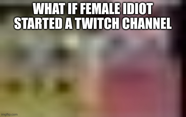 Sobgih Ans Patbur low quality | WHAT IF FEMALE IDIOT STARTED A TWITCH CHANNEL | image tagged in sobgih ans patbur low quality | made w/ Imgflip meme maker