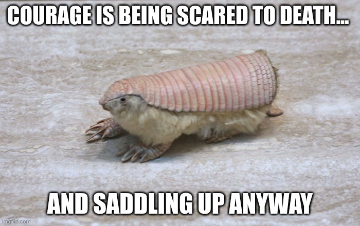 Armadillo's back looks like a saddle | COURAGE IS BEING SCARED TO DEATH... AND SADDLING UP ANYWAY | image tagged in pink fairy armadillo,saddle,saddle back | made w/ Imgflip meme maker