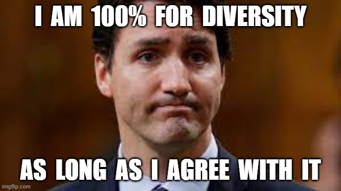 I  AM  100%  FOR  DIVERSITY; AS  LONG  AS  I  AGREE  WITH  IT | image tagged in justin trudeau,fake,soy boy | made w/ Imgflip meme maker