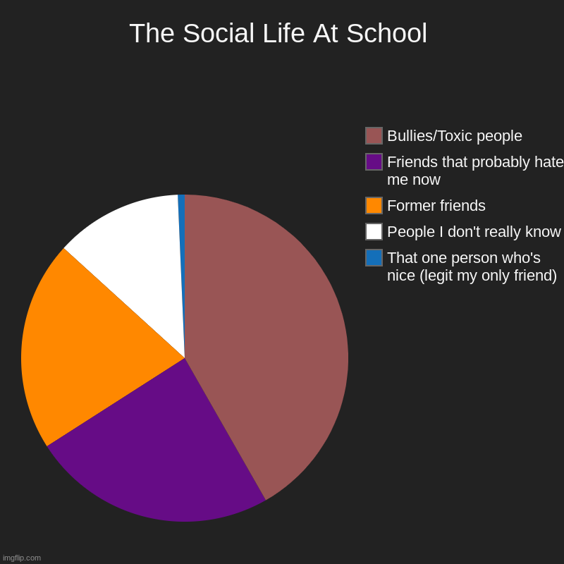 :/ yep | The Social Life At School | That one person who's nice (legit my only friend), People I don't really know, Former friends, Friends that prob | image tagged in charts,friends,bullies,toxic,people,that one friend | made w/ Imgflip chart maker