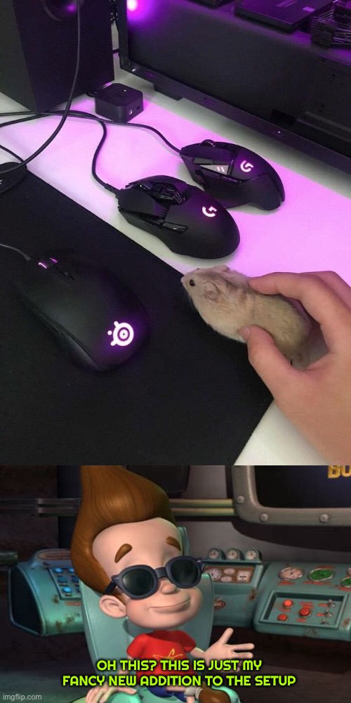 Special addition to my gaming setup | OH THIS? THIS IS JUST MY FANCY NEW ADDITION TO THE SETUP | image tagged in mouse,gaming,memes,funny,setup | made w/ Imgflip meme maker