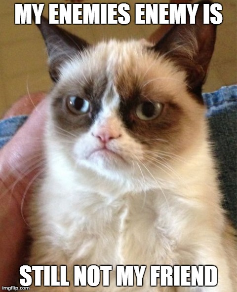 Grumpy Cat Meme | MY ENEMIES ENEMY IS STILL NOT MY FRIEND | image tagged in memes,grumpy cat | made w/ Imgflip meme maker