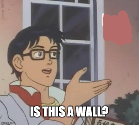 birds when they hit glass be like | IS THIS A WALL? | image tagged in memes,is this a pigeon | made w/ Imgflip meme maker