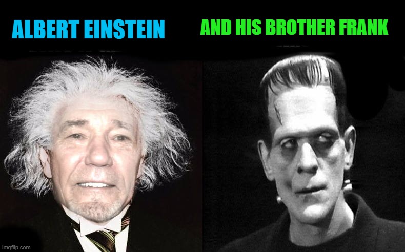 Albert Einstein | AND HIS BROTHER FRANK; ALBERT EINSTEIN | image tagged in albert einstein,frank einstein | made w/ Imgflip meme maker