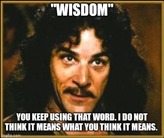 princess bride | "WISDOM" YOU KEEP USING THAT WORD. I DO NOT THINK IT MEANS WHAT YOU THINK IT MEANS. | image tagged in princess bride | made w/ Imgflip meme maker