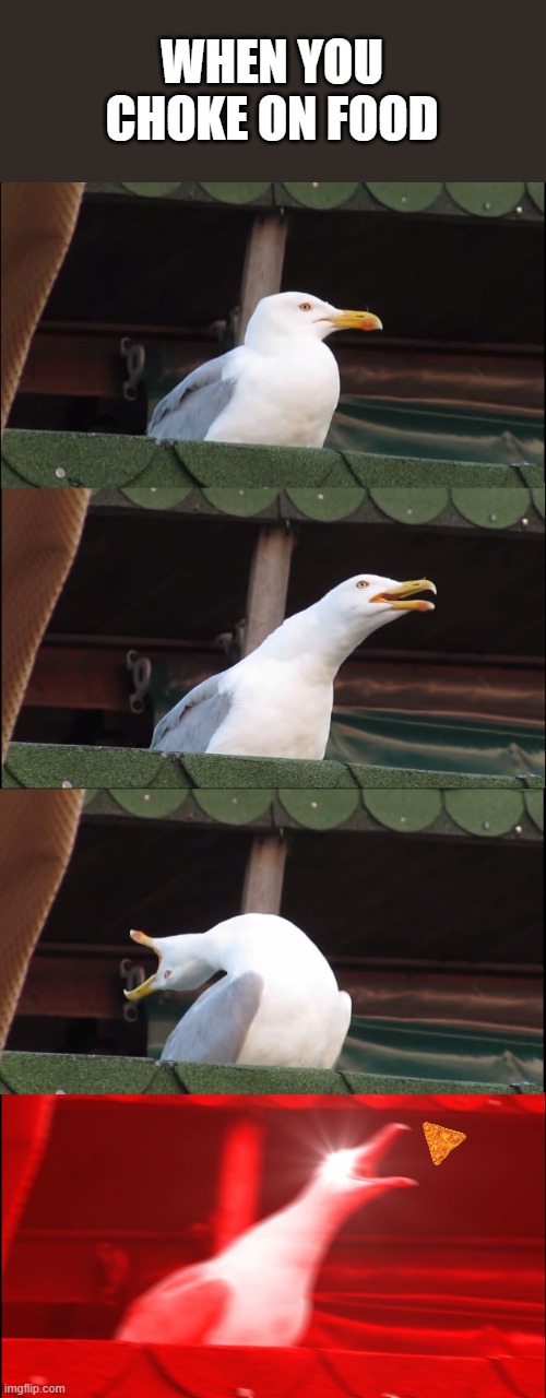 tortilla chips... | WHEN YOU CHOKE ON FOOD | image tagged in memes,inhaling seagull | made w/ Imgflip meme maker