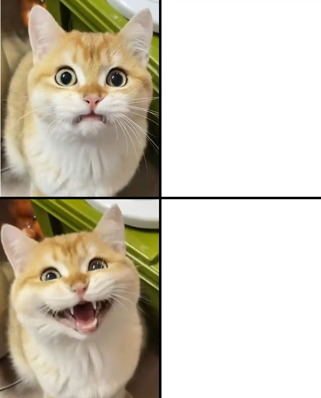 High Quality Alternate Drake meme cat Blank Meme Template