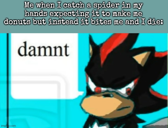 Damnt... | Me when I catch a spider in my hands expecting it to make me donuts but instead it bites me and I die: | image tagged in damnt | made w/ Imgflip meme maker