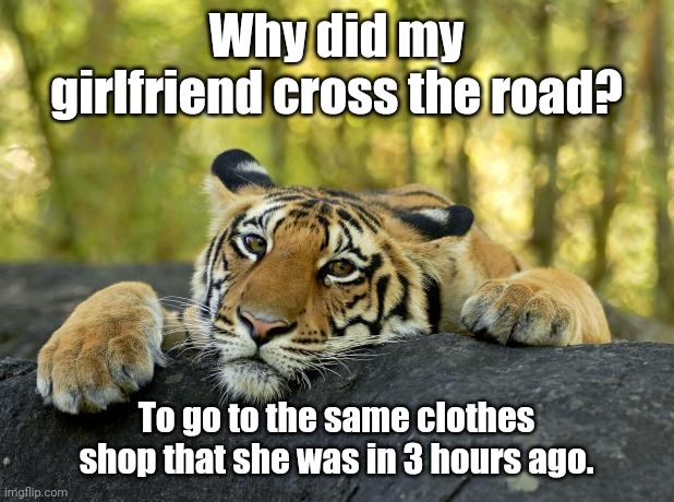 So much fun. |  Why did my girlfriend cross the road? To go to the same clothes shop that she was in 3 hours ago. | image tagged in confession tiger,funny | made w/ Imgflip meme maker