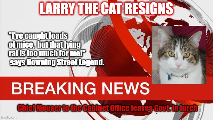 Larry Quits | LARRY THE CAT RESIGNS; "I've caught loads of mice,  but that lying rat is too much for me!"  says Downing Street Legend. Chief Mouser to the Cabinet Office leaves Govt. in lurch | image tagged in bbc breaking news | made w/ Imgflip meme maker