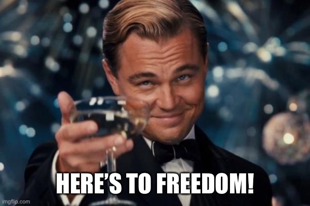 Leonardo Dicaprio Cheers Meme | HERE’S TO FREEDOM! | image tagged in memes,leonardo dicaprio cheers | made w/ Imgflip meme maker