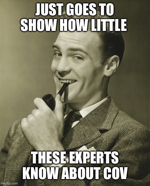 Smug | JUST GOES TO SHOW HOW LITTLE THESE EXPERTS KNOW ABOUT COVID | image tagged in smug | made w/ Imgflip meme maker