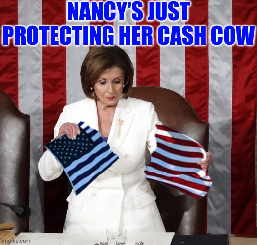 NANCY'S JUST PROTECTING HER CASH COW | made w/ Imgflip meme maker