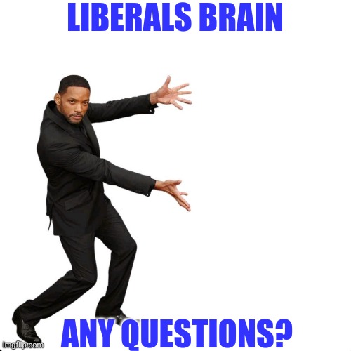 LIBERALS BRAIN ANY QUESTIONS? | made w/ Imgflip meme maker