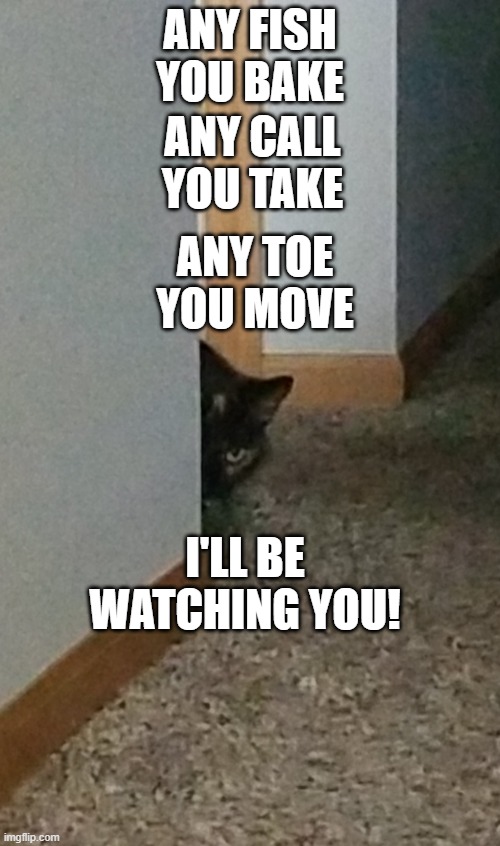Any fish you bake | ANY FISH YOU BAKE; ANY CALL YOU TAKE; ANY TOE YOU MOVE; I'LL BE WATCHING YOU! | image tagged in being watched | made w/ Imgflip meme maker