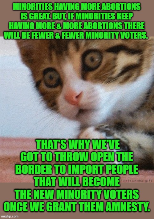 A riddle | MINORITIES HAVING MORE ABORTIONS IS GREAT. BUT, IF MINORITIES KEEP HAVING MORE & MORE ABORTIONS THERE WILL BE FEWER & FEWER MINORITY VOTERS. | image tagged in a riddle | made w/ Imgflip meme maker