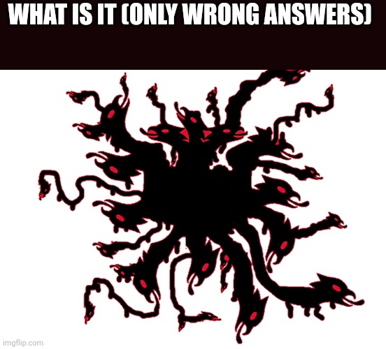 Albanian monster | WHAT IS IT (ONLY WRONG ANSWERS) | made w/ Imgflip meme maker
