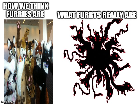 WHAT FURRYS REALLY ARE; HOW WE THINK FURRIES ARE | made w/ Imgflip meme maker