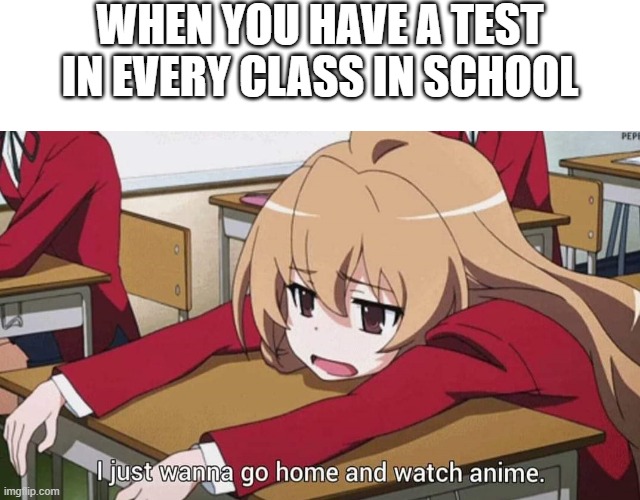 Test in each class | WHEN YOU HAVE A TEST IN EVERY CLASS IN SCHOOL | image tagged in i just wanna go home and watch anime,test,class,school test | made w/ Imgflip meme maker