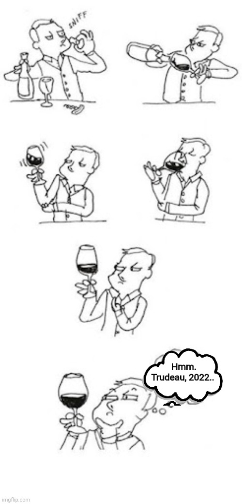 Sommelier | Hmm.
Trudeau, 2022.. | image tagged in sommelier | made w/ Imgflip meme maker