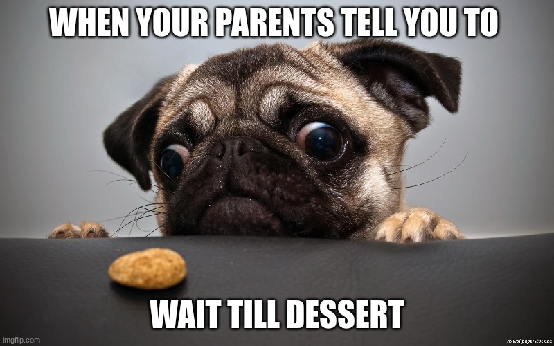 FOOD | WHEN YOUR PARENTS TELL YOU TO; WAIT TILL DESSERT | image tagged in pugs | made w/ Imgflip meme maker