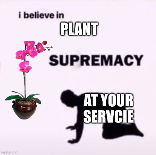 I believe in supremacy | PLANT AT YOUR SERVCIE | image tagged in i believe in supremacy | made w/ Imgflip meme maker