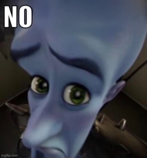 No bitches | image tagged in no bitches | made w/ Imgflip meme maker