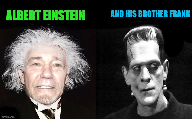 Albert Einstein and his brother Frank | AND HIS BROTHER FRANK; ALBERT EINSTEIN | image tagged in albert einstein,frank einstein | made w/ Imgflip meme maker