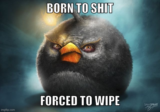 angry birds bomb | BORN TO SHIT; FORCED TO WIPE | image tagged in angry birds bomb | made w/ Imgflip meme maker