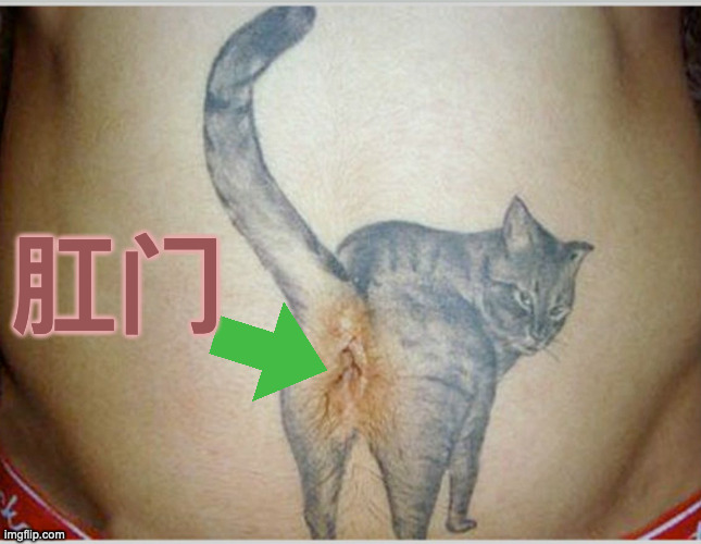 It's not Really a  肛门  It Just Looks Like One. | 肛门 | image tagged in cattoo | made w/ Imgflip meme maker