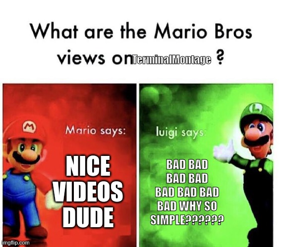 Mario Bros Views | TerminalMontage; NICE VIDEOS DUDE; BAD BAD BAD BAD BAD BAD BAD BAD WHY SO SIMPLE?????? | image tagged in mario bros views | made w/ Imgflip meme maker