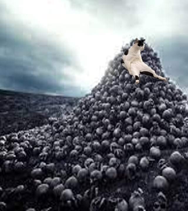 Skull Throne Blank Meme Template