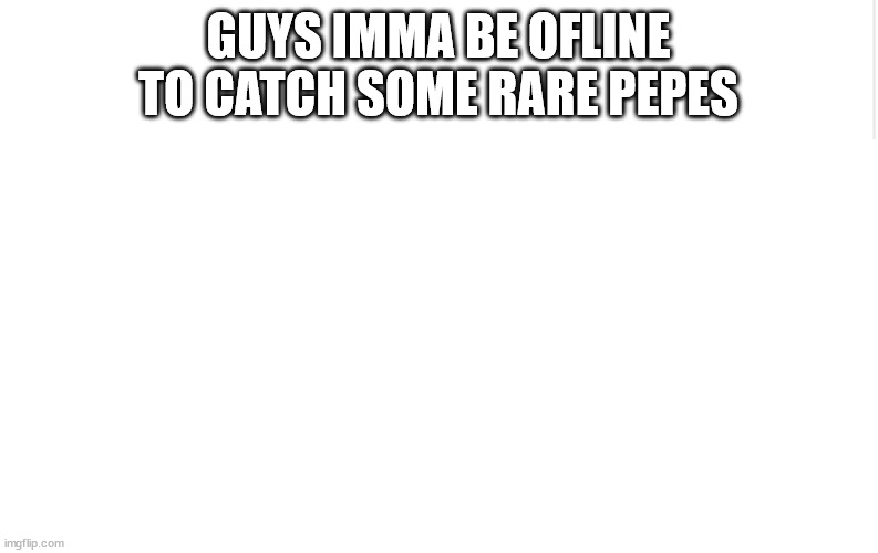Blank meme template | GUYS IMMA BE OFLINE TO CATCH SOME RARE PEPES | image tagged in blank meme template | made w/ Imgflip meme maker