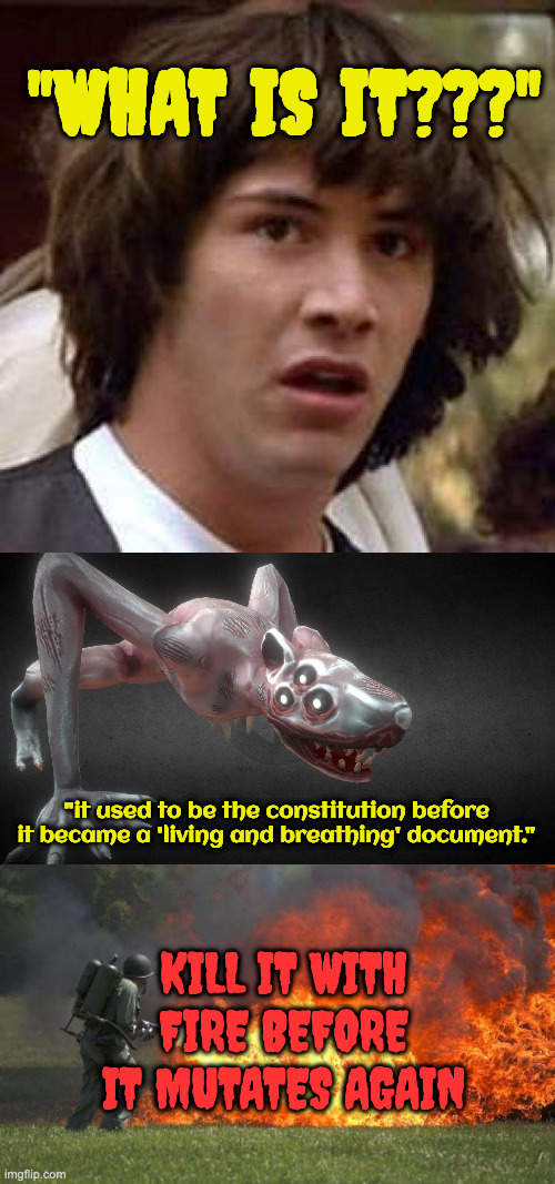 Constitution't | "WHAT IS IT???"; "it used to be the constitution before it became a 'living and breathing' document."; KILL IT WITH FIRE BEFORE IT MUTATES AGAIN | image tagged in memes,conspiracy keanu,monster,flame thrower | made w/ Imgflip meme maker