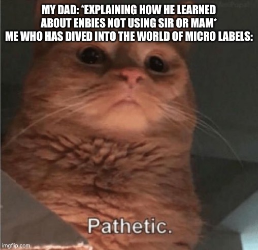 He doesn’t know and I’m just sitting there. He’s watching Queer Eye, lol | MY DAD: *EXPLAINING HOW HE LEARNED ABOUT ENBIES NOT USING SIR OR MAM*
ME WHO HAS DIVED INTO THE WORLD OF MICRO LABELS: | image tagged in pathetic cat | made w/ Imgflip meme maker