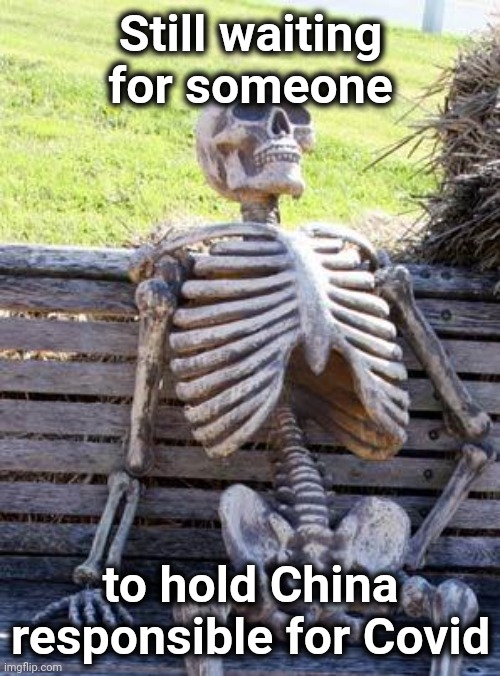 Waiting Skeleton Meme | Still waiting for someone to hold China responsible for Covid | image tagged in memes,waiting skeleton | made w/ Imgflip meme maker