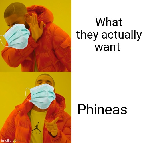 Drake Hotline Bling Meme | What they actually want Phineas | image tagged in memes,drake hotline bling | made w/ Imgflip meme maker