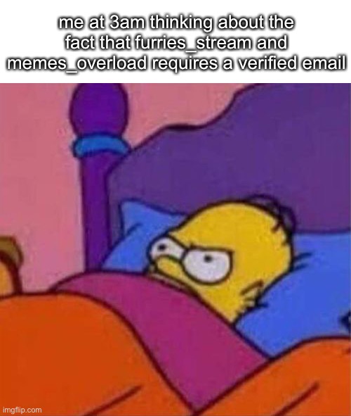 stop stepping on us non-verified little guys :( |  me at 3am thinking about the fact that furries_stream and memes_overload requires a verified email | image tagged in angry homer simpson in bed | made w/ Imgflip meme maker