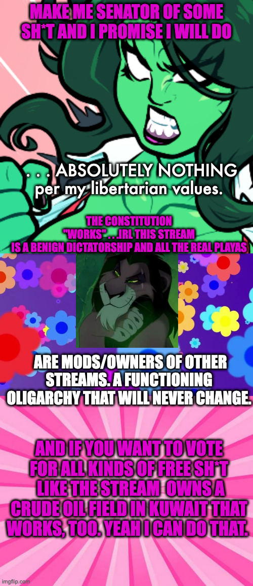 HomerD Paid Political Ad (not really). | MAKE ME SENATOR OF SOME SH*T AND I PROMISE I WILL DO; . . . ABSOLUTELY NOTHING per my libertarian values. THE CONSTITUTION "WORKS" . . .IRL THIS STREAM IS A BENIGN DICTATORSHIP AND ALL THE REAL PLAYAS; ARE MODS/OWNERS OF OTHER STREAMS. A FUNCTIONING OLIGARCHY THAT WILL NEVER CHANGE. AND IF YOU WANT TO VOTE FOR ALL KINDS OF FREE SH*T  LIKE THE STREAM  OWNS A CRUDE OIL FIELD IN KUWAIT THAT WORKS, TOO. YEAH I CAN DO THAT. | image tagged in she-hulk,pattern2,pink blank background | made w/ Imgflip meme maker