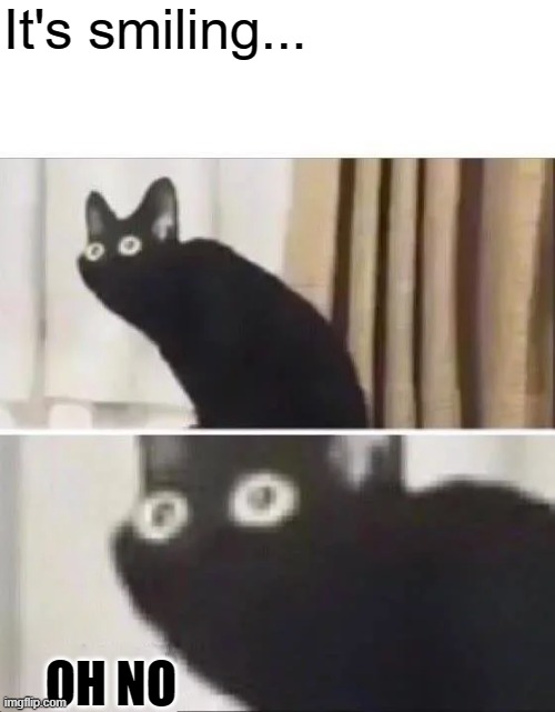 Oh No Black Cat | It's smiling... OH NO | image tagged in oh no black cat | made w/ Imgflip meme maker