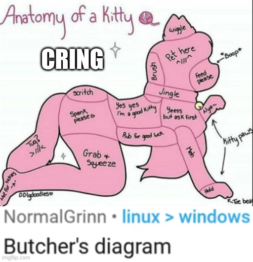 (you have a brain tumor- mod) | CRING | made w/ Imgflip meme maker