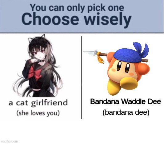 Bandana Waddle Dee (he loves you) | Bandana Waddle Dee; (bandana dee) | image tagged in choose wisely | made w/ Imgflip meme maker