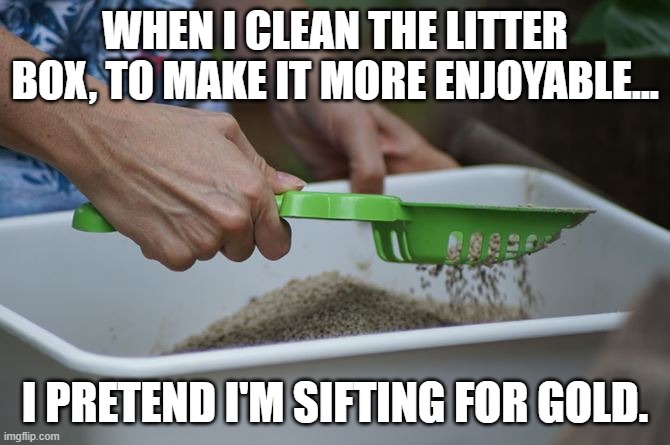 Cleaning the box |  WHEN I CLEAN THE LITTER BOX, TO MAKE IT MORE ENJOYABLE... I PRETEND I'M SIFTING FOR GOLD. | image tagged in litter box,cats,cat,funny cats | made w/ Imgflip meme maker