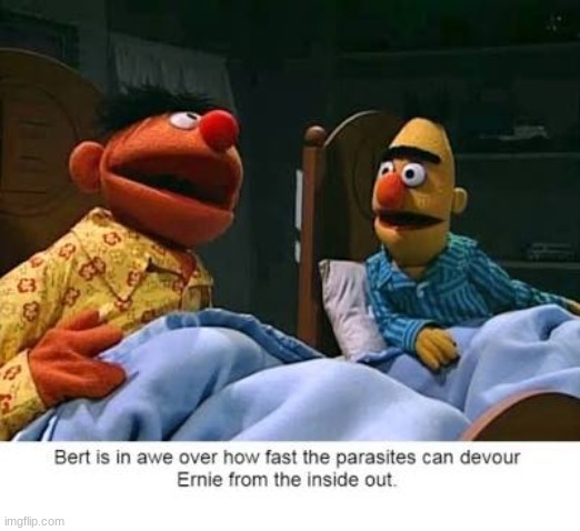parasite | image tagged in bert and ernie,dark humor,dude | made w/ Imgflip meme maker