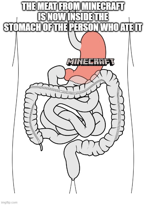 Stomach | THE MEAT FROM MINECRAFT IS NOW INSIDE THE STOMACH OF THE PERSON WHO ATE IT | image tagged in stomach | made w/ Imgflip meme maker